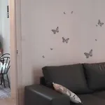 appartement centre vue jardin