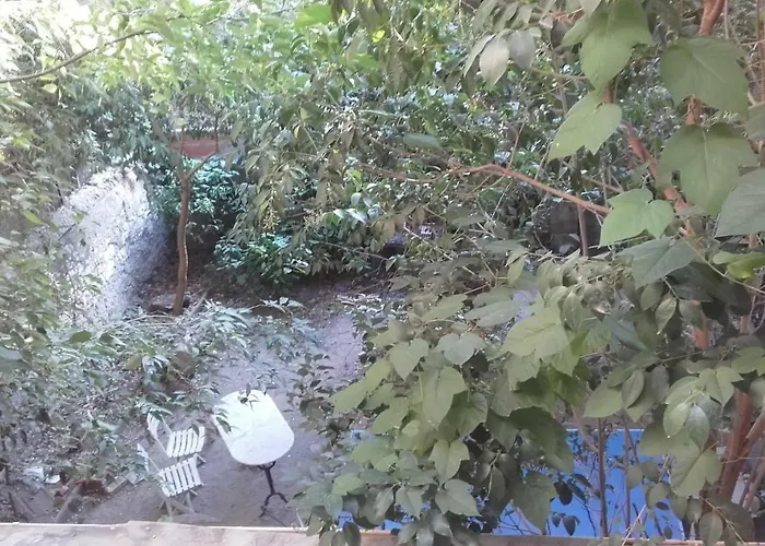 appartement centre vue jardin
