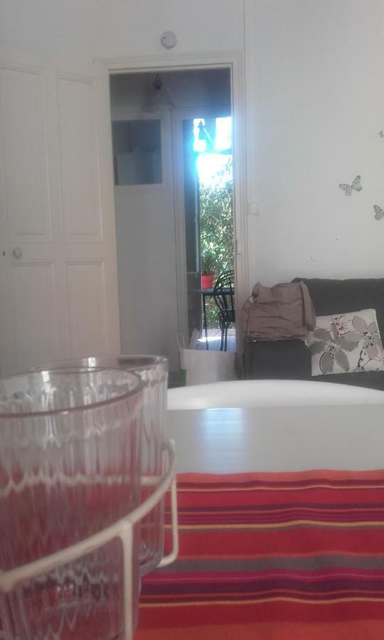 Centre Vue Jardin Appartement Narbonne