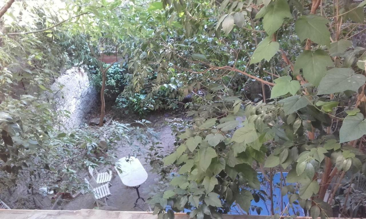 Centre Vue Jardin Appartement *